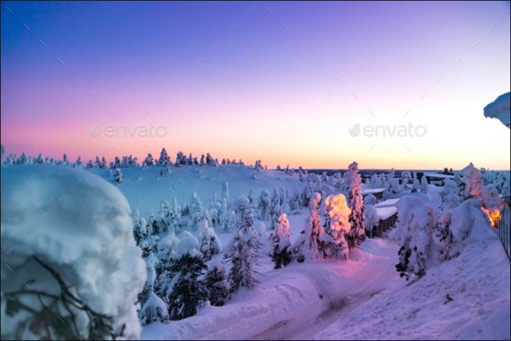Fantastic Winter Sunrise In Mountains With Snow Covered Fir Trees Web3Canvas
