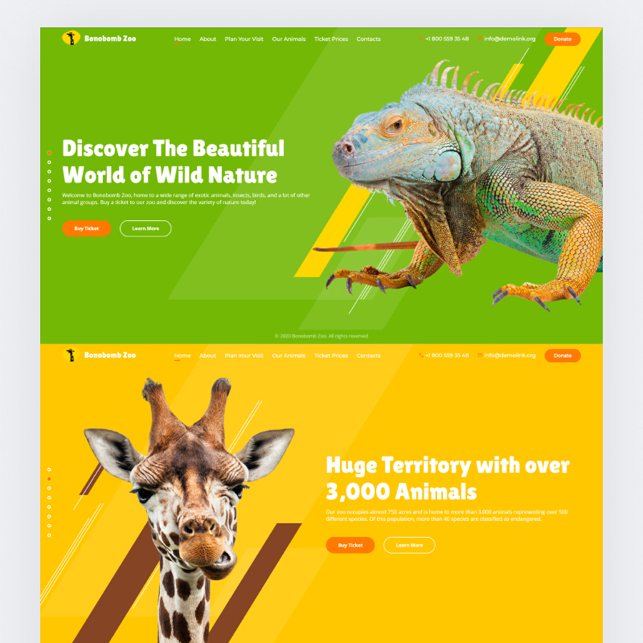 20 Animated Website Templates Free Amp Premium Themes Riset